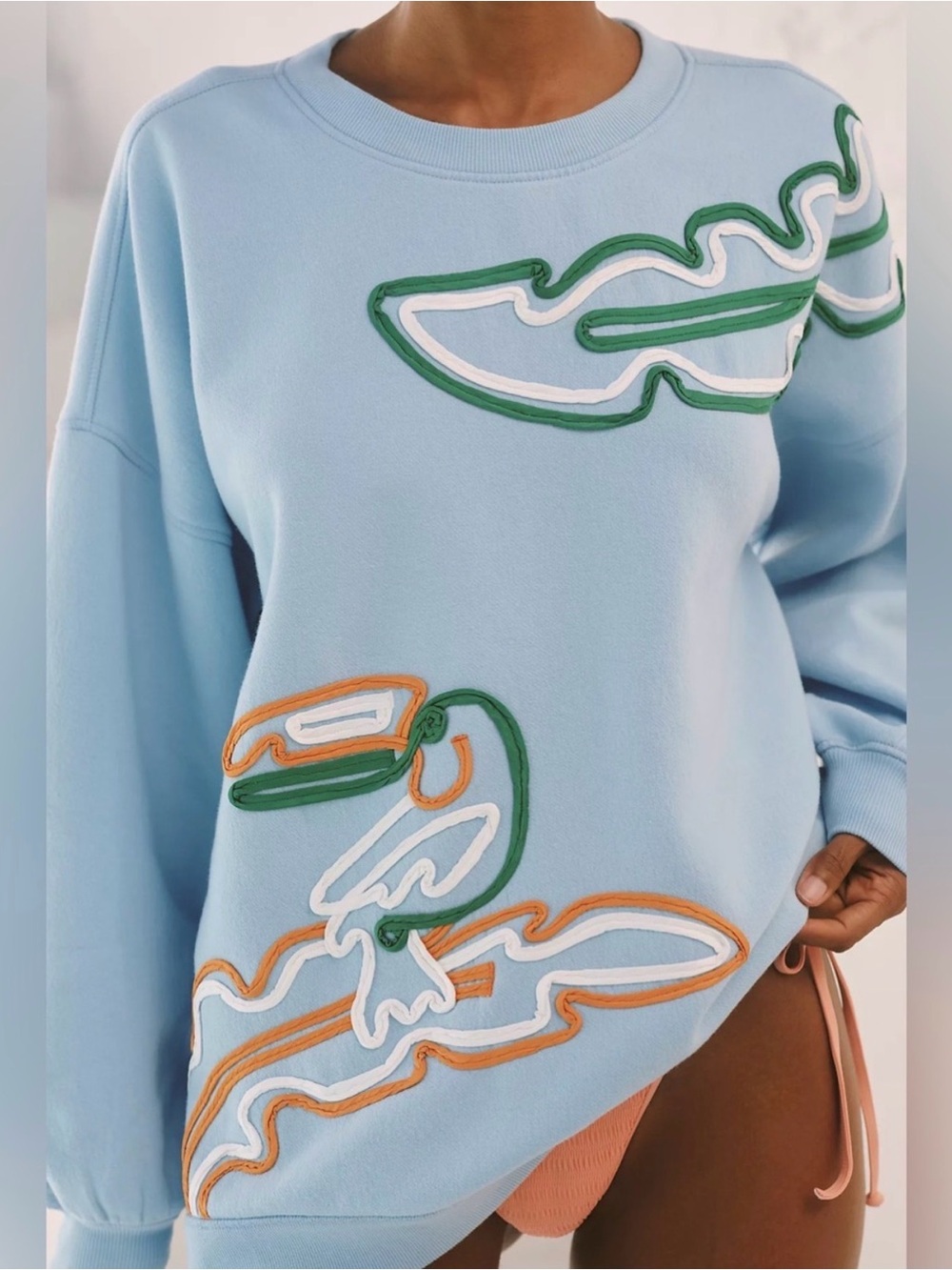 NWT Celandine Light Blue Pullover Sweatshirt with Colorful Appliqué Size L/XL
